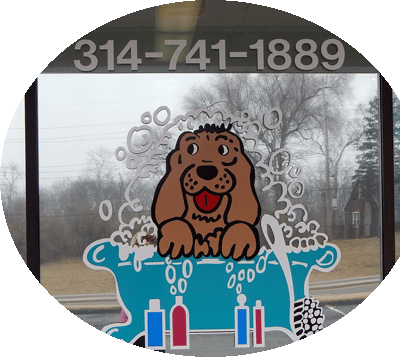 dog grooming window